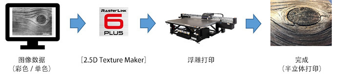 JFX200-2513 EX 2.5D Texture Maker 工作流程示意图